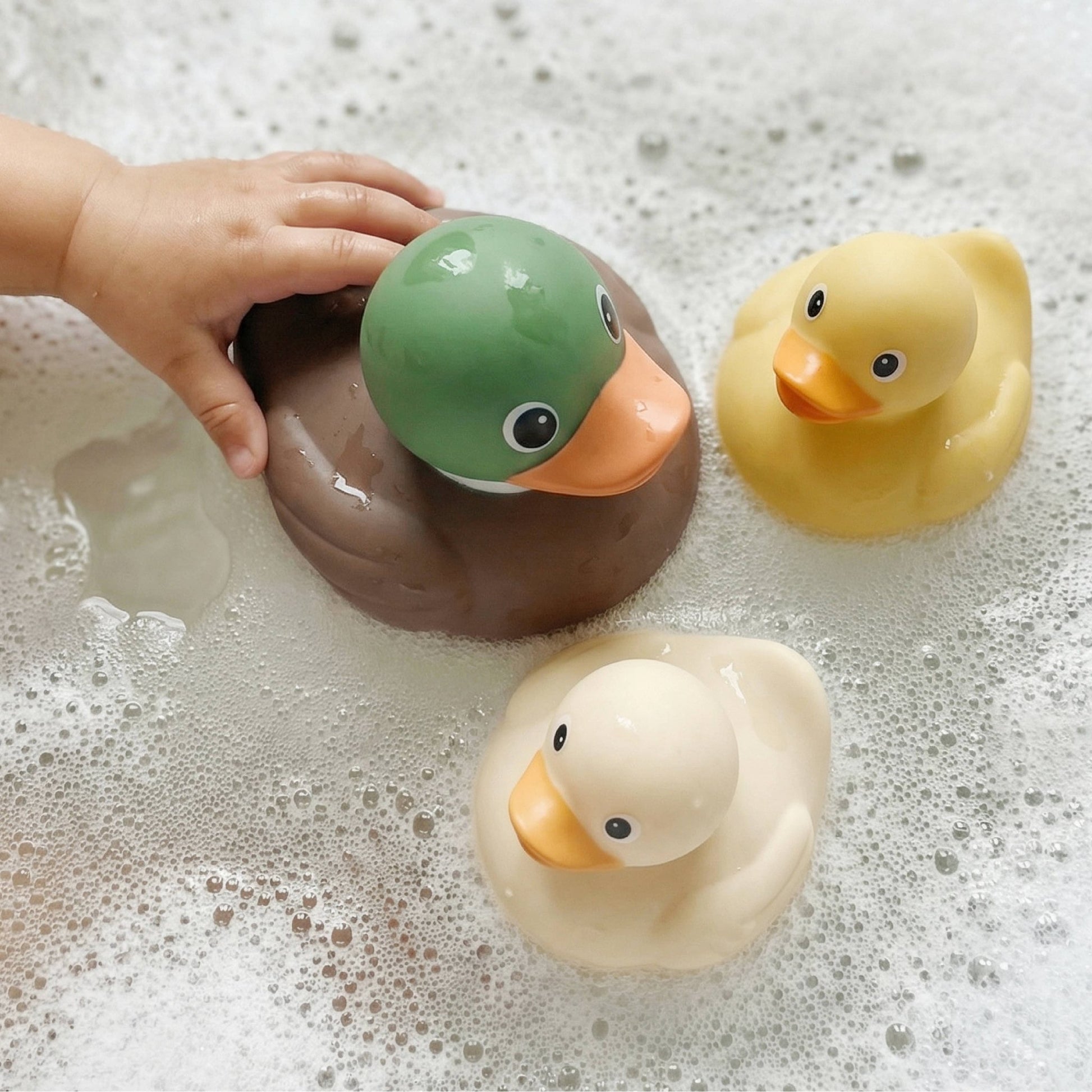 Bath & Body